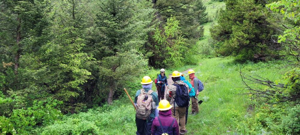 Emmalynn leads her crew on a forested trail.